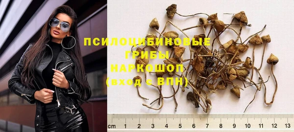 дживик Волоколамск